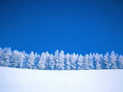 Картинки на тему зима